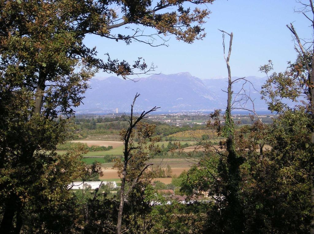 Agriturismo Dondino Cavriana Eksteriør bilde