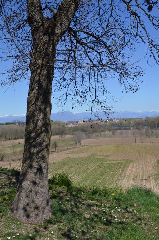 Agriturismo Dondino Cavriana Eksteriør bilde