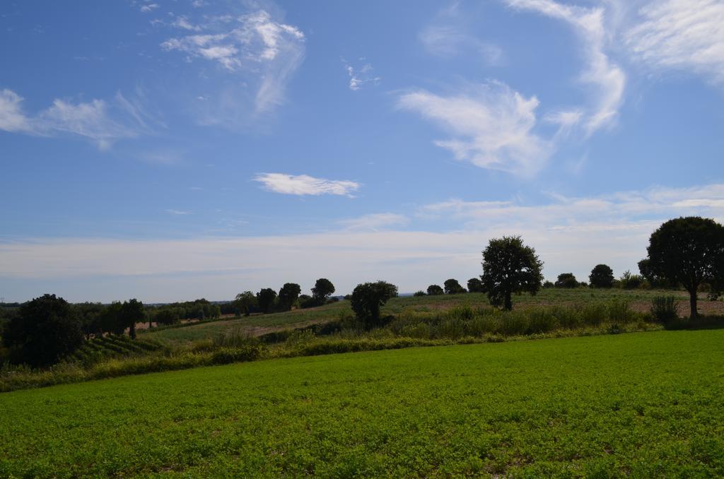 Agriturismo Dondino Cavriana Eksteriør bilde