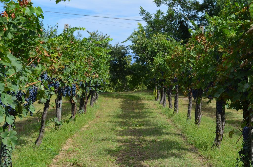Agriturismo Dondino Cavriana Eksteriør bilde